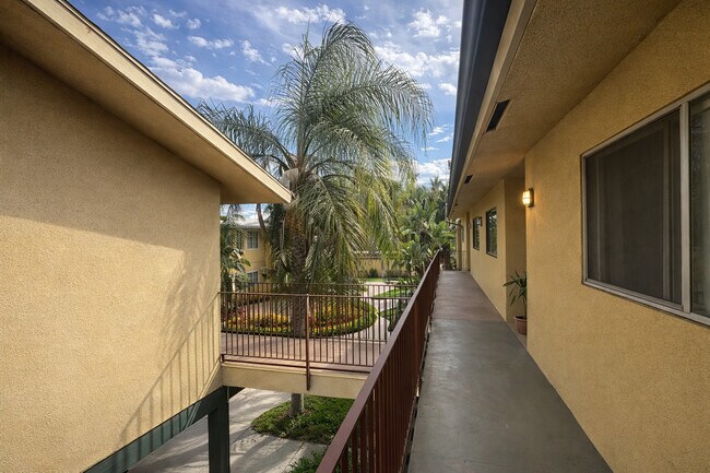 Palm Vista