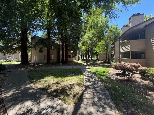 Building Photo - 2 Bedroom / 1 Bathroom |