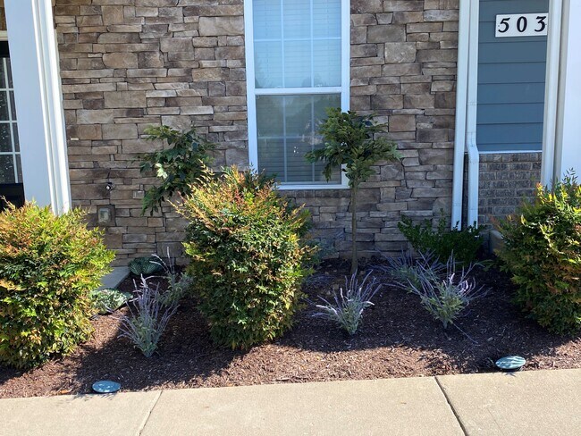 Landscaping - 501 Clifford Hts
