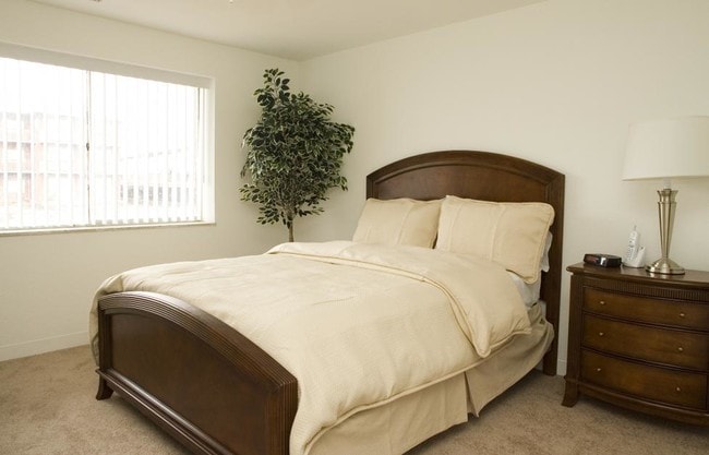 Spacious Bedrooms
