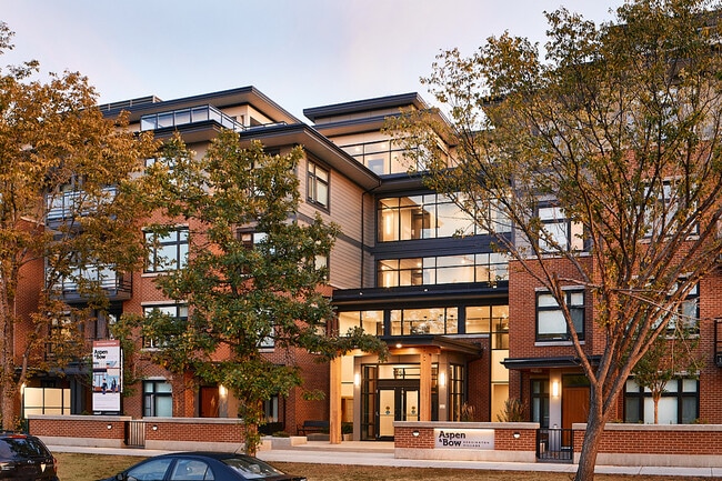 Photo - Aspen and Bow