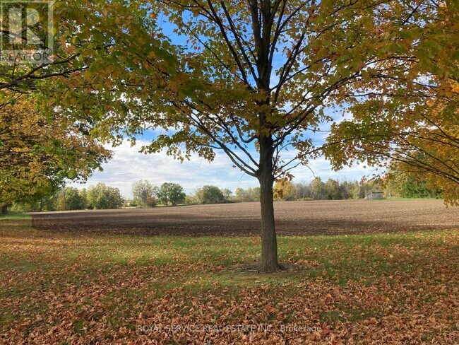 Photo - 712 12th Line W