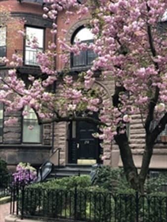 Photo - 258 Marlborough St Unidad 2R Rental