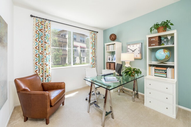 Solana Apartment Homes