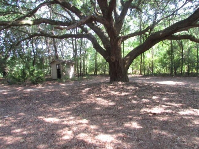 Photo - 5855 Cane Savannah Rd