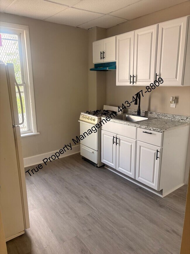 1513 Edmondson Ave Unit 3