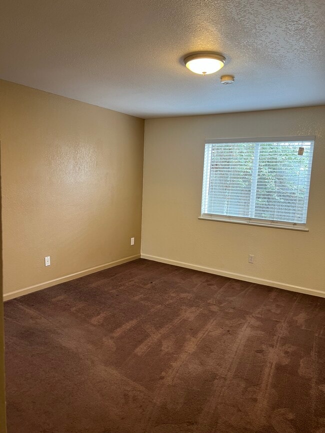 Photo - 58 Marys Ave