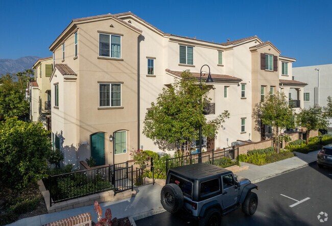 Photo - The Orchards