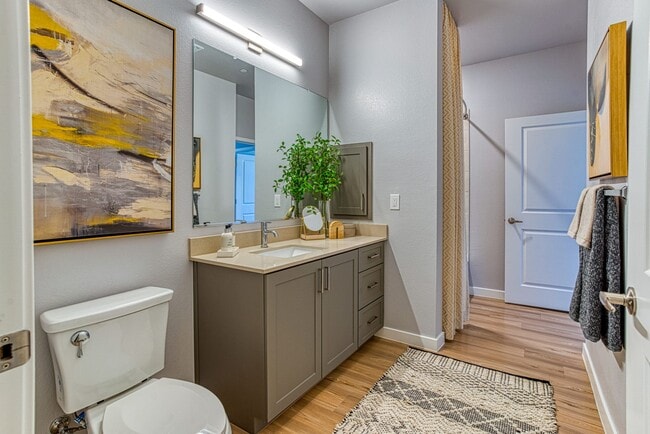 Lucent Scottsdale
