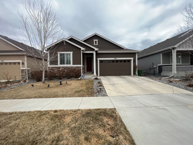 Amazing Home in South Fort Collins - Amazing Home in South Fort Collins