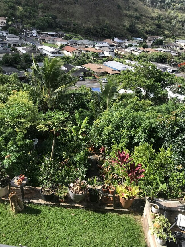 Photo - 1565 Ala Lani St