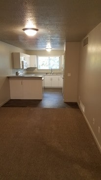 Kitchen - 1700 Sandhill Rd Unit A204