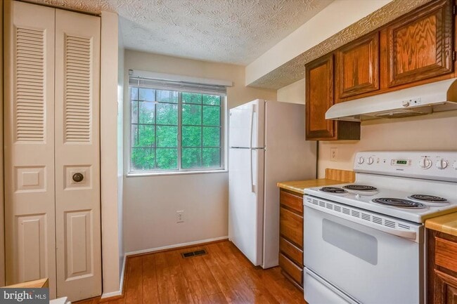 Photo - 11504 Ivy Bush Ct