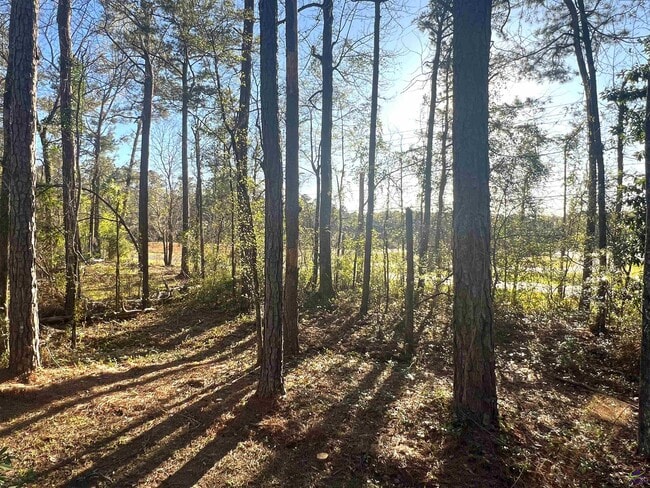 Photo - 981 Santa Fe Trail