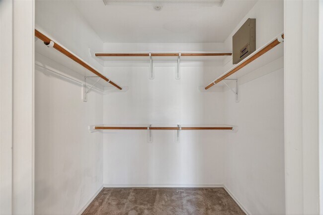 Photo - 3218 Pearl Bluff Ln