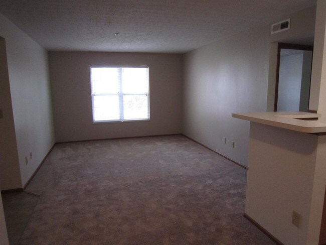 Photo - Forest Brooke