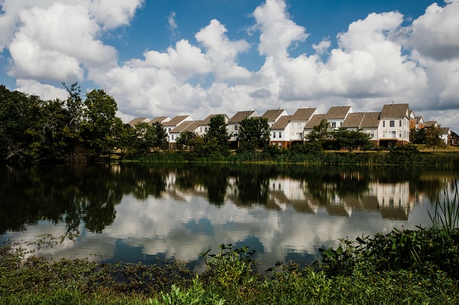 Photo - Hamburg Farms