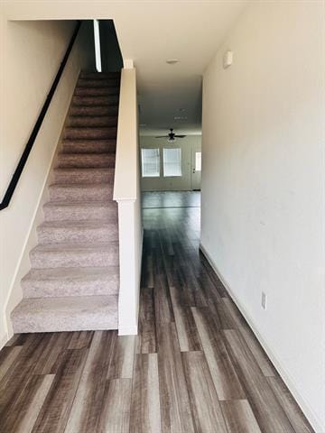 Photo - 4416 Marsh Hawk Dr