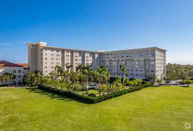 Photo - Jacaranda Trace