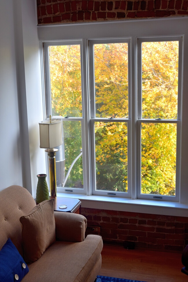 Living Room - 229 N Poplar St Unit St. Peter's  26