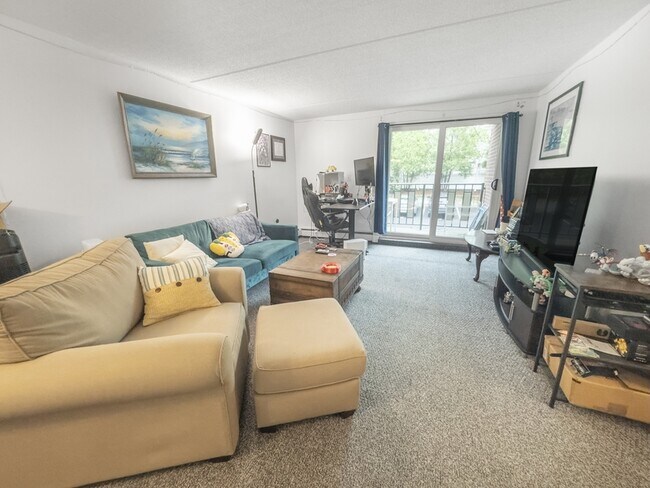 Photo - 12-16 Ellery Street Unit 206