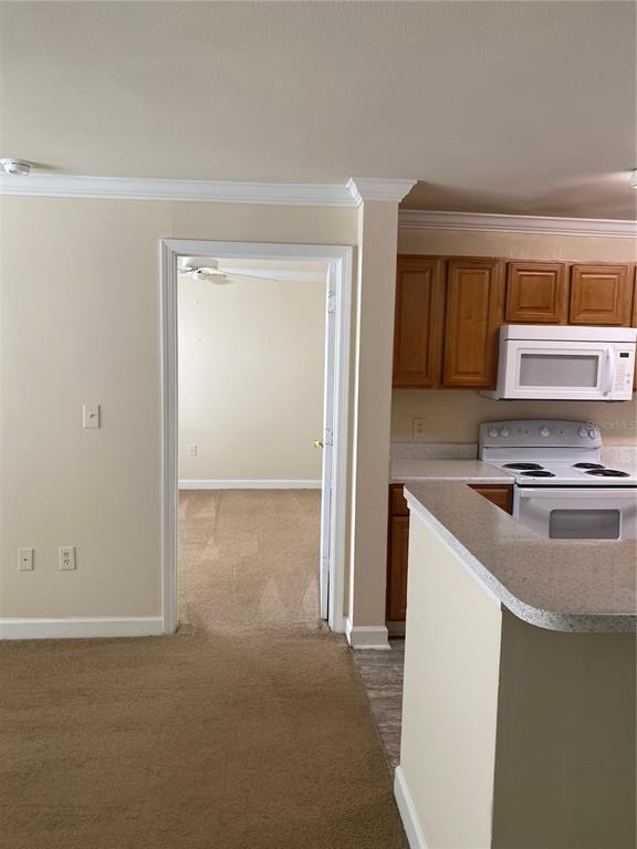 18209 Bridle Club Dr Unit 18209