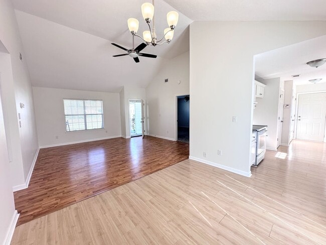 Photo - Branching Out in Laurel Oaks