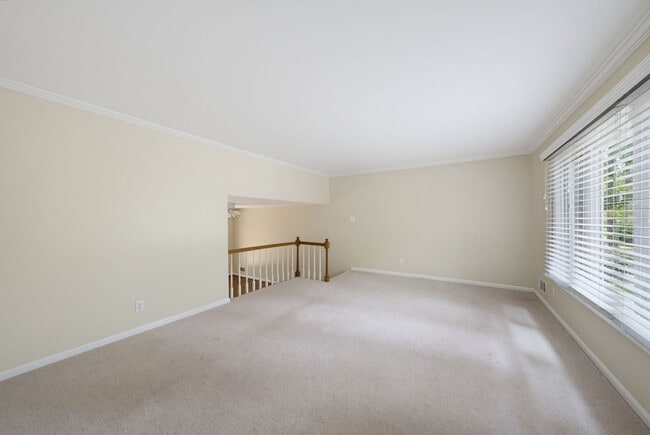 Photo - 1003 Manchester Dr
