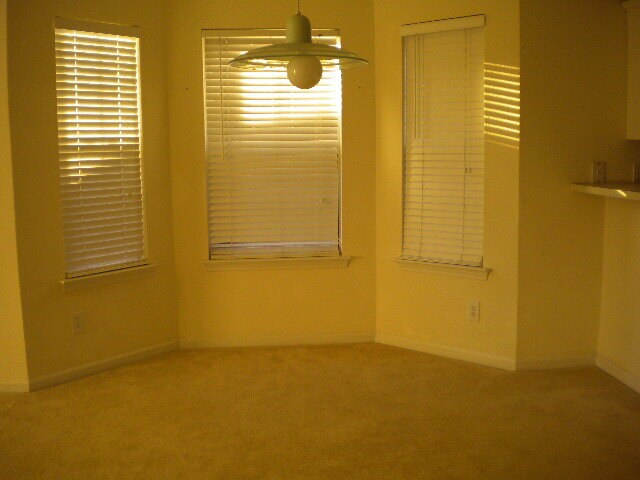 1041 Stoney Falls Blvd
