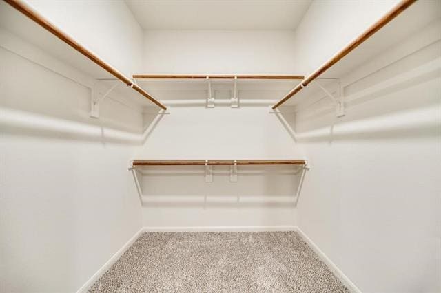 Photo - 804 Jackel Dr