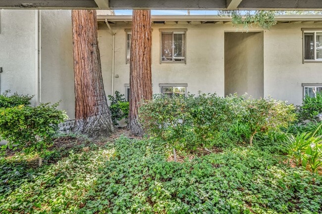 Photo - CHARMING 2 BED & 1 BATH CONDO IN THE HEART OF DOWNTOWN WALNUT CREEK!!