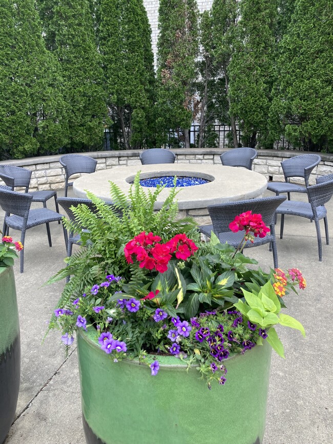 Fire Pit