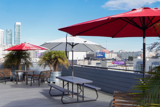 Rooftop deck - 237 Shipley St Unit 303