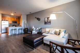 Boston University Off Campus Housing Apartments Ma Axis Admiral S Hill