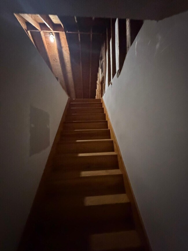 Photo - 61 Tracey St