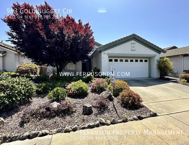 Photo - 943 Gold Nugget Cir