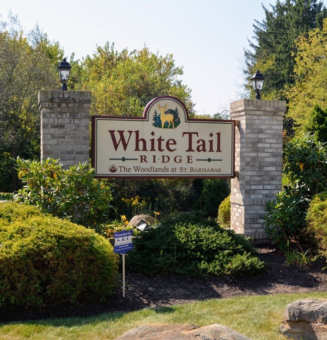 White Tail Ridge - White Tail Ridge Apartamentos