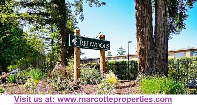 Redwoods Apartments - Redwoods Apartments