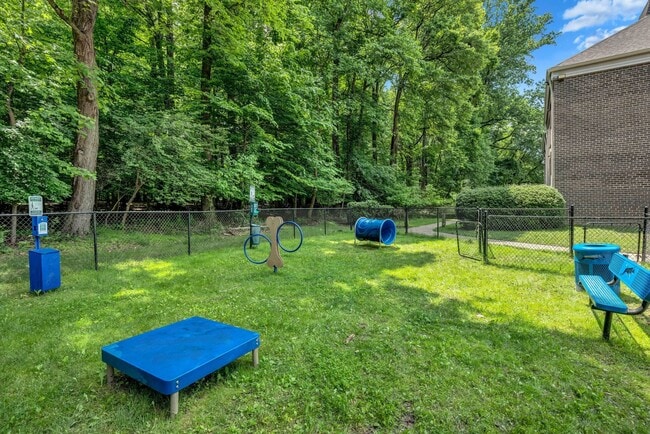Dog Park