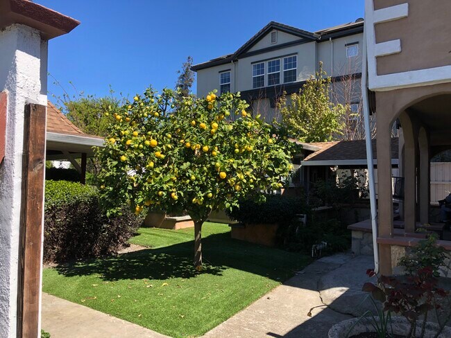 Photo - 1040 Weeks St