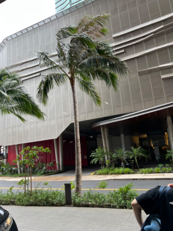 Photo - 1001 Queen St Unidad 2608