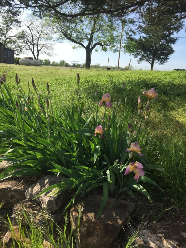 Photo - 5510 State Hwy J