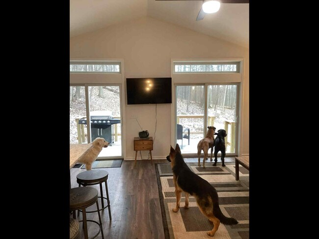 Photo - 4761 Egypt Rd