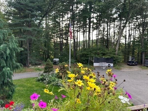 Photo - 241 South St