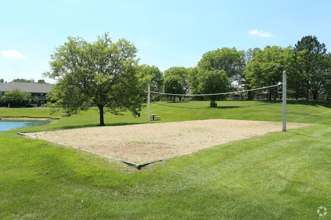 Volleyball Court