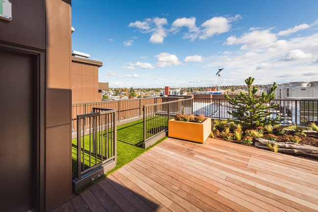 Photo - Commons at Ballard