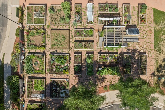 Community Garden - The Residences at Creekside