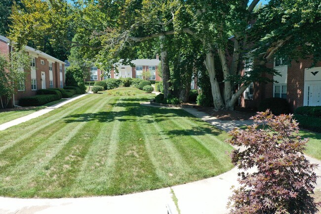 Sycamore Garden