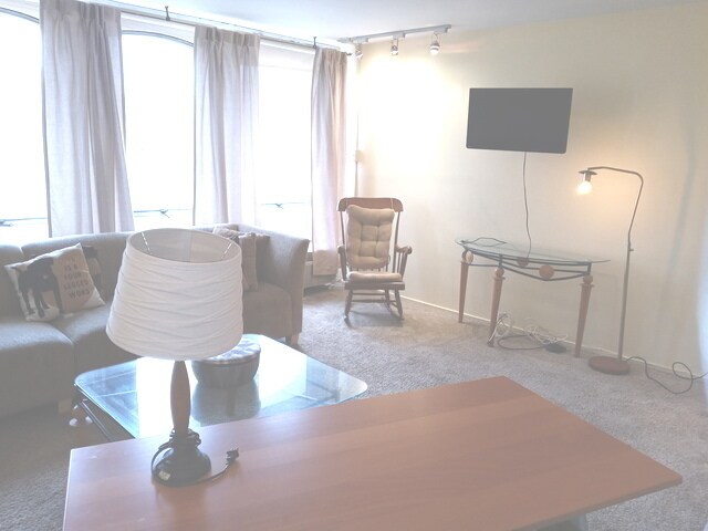 Photo - 1451 E 55th St Unit 523N