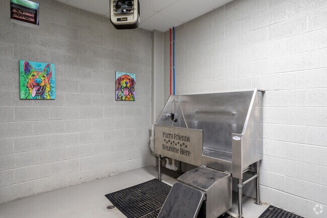 Pet Wash